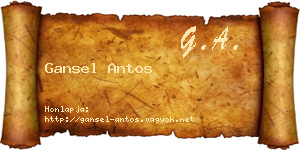 Gansel Antos névjegykártya